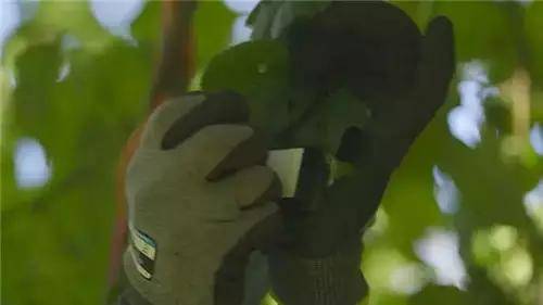 唯獨(dú)這一些抓人眼球的室外標(biāo)識(shí)才配叫創(chuàng)意！廣告主也滿意10