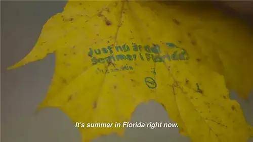 僅有這一些抓人眼球的室外標(biāo)識(shí)才配叫創(chuàng)意！廣告主也滿意11