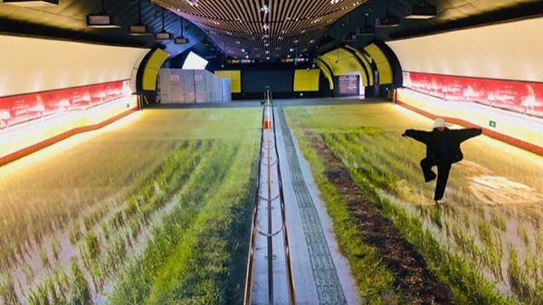 這些室外標識的創(chuàng)意你喜歡嗎？16