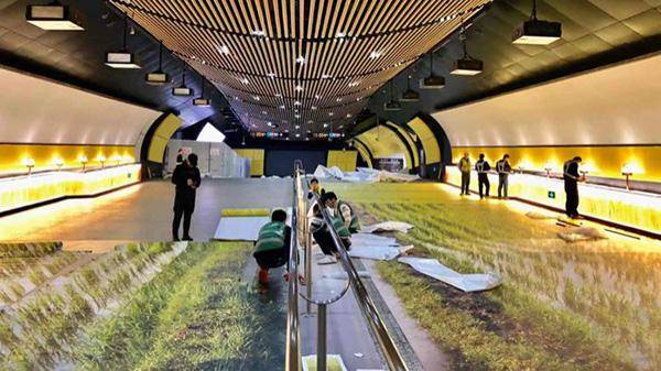 這些室外標識的創(chuàng)意你喜歡嗎？17