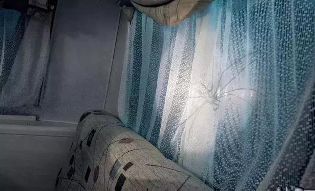 最果的戶外廣告！創(chuàng)意是靈魂35