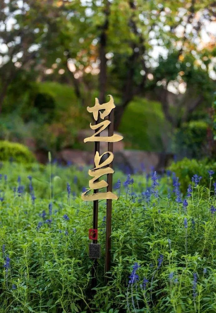 中國風(fēng)LOGO標(biāo)牌事例分享，美15