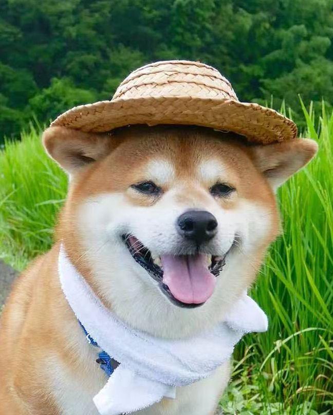 中國(guó)路邊的亞克力廣告牌，我能笑一年16