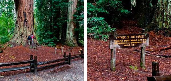 “旅游化”的LOGO系統(tǒng)，讓標(biāo)識(shí)牌成為景區(qū)里的獨(dú)特景致11